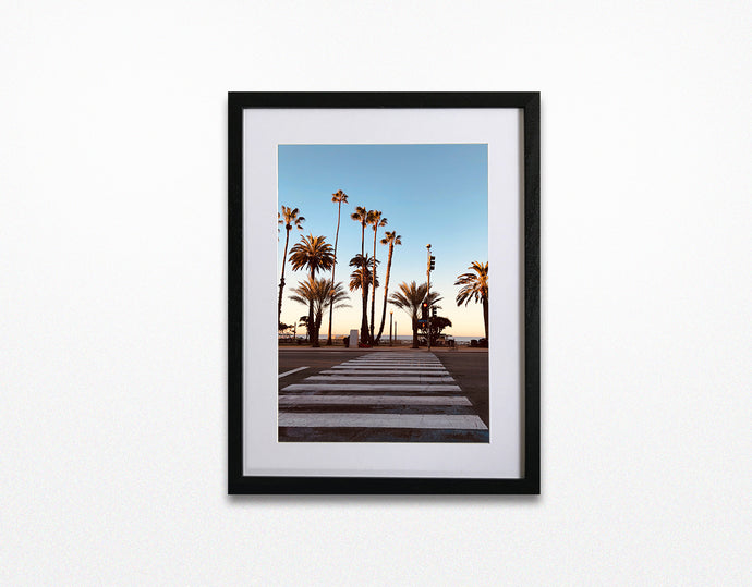 Palm trees . Venice Beach